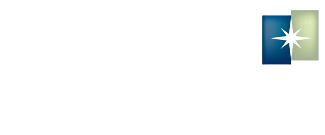 BGFI Services